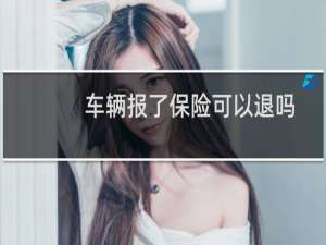 车辆报了保险可以退吗