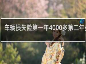 车辆损失险第一年4000多第二年多少