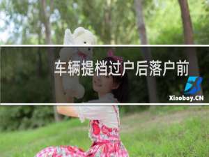 车辆提档过户后落户前可以查封吗（车辆提档过户流程）
