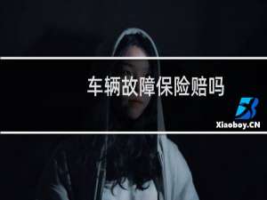 车辆故障保险赔吗