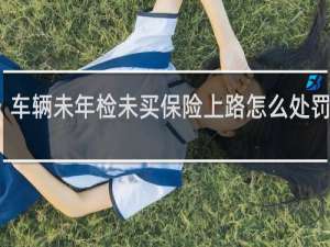 车辆未年检未买保险上路怎么处罚规定