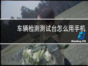 车辆检测测试台怎么用手机