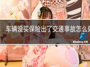 车辆没买保险出了交通事故怎么处理