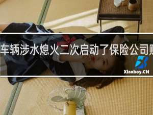 车辆涉水熄火二次启动了保险公司赔险吗