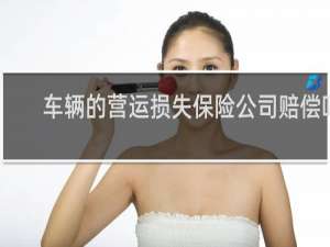 车辆的营运损失保险公司赔偿吗