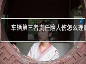 车辆第三者责任险人伤怎么理赔