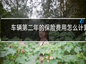 车辆第二年的保险费用怎么计算