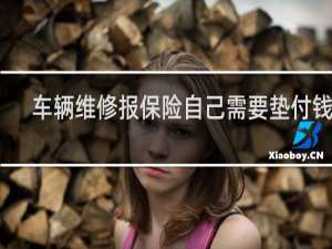 车辆维修报保险自己需要垫付钱吗