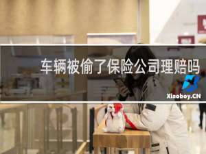 车辆被偷了保险公司理赔吗