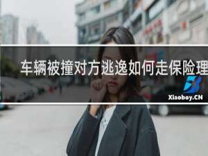车辆被撞对方逃逸如何走保险理赔