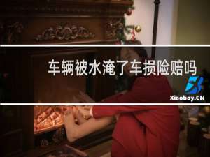 车辆被水淹了车损险赔吗