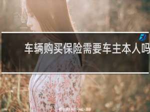车辆购买保险需要车主本人吗