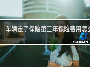 车辆走了保险第二年保险费用怎么算