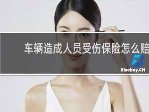 车辆造成人员受伤保险怎么赔