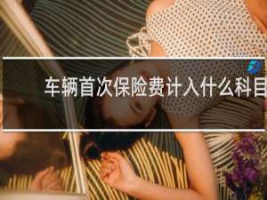 车辆首次保险费计入什么科目