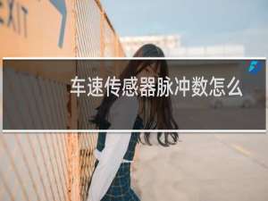 车速传感器脉冲数怎么算（车速传感器）