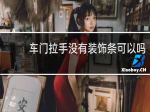 车门拉手没有装饰条可以吗