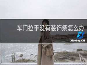 车门拉手没有装饰条怎么办
