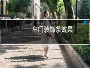 车门装饰条效果