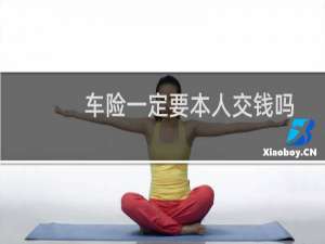 车险一定要本人交钱吗