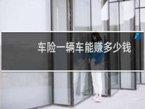 车险一辆车能赚多少钱