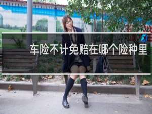 车险不计免赔在哪个险种里