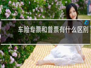 车险专票和普票有什么区别