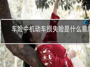 车险中机动车损失险是什么意思