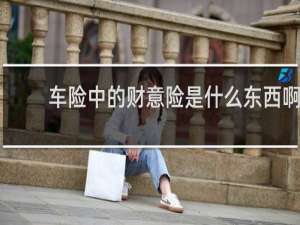 车险中的财意险是什么东西啊