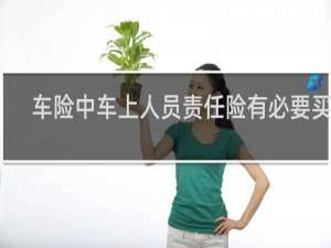 车险中车上人员责任险有必要买吗