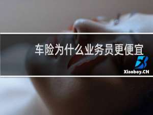 车险为什么业务员更便宜