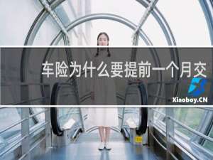 车险为什么要提前一个月交