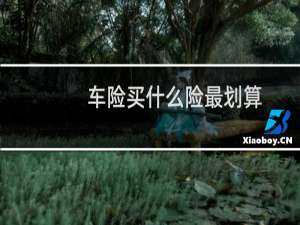 车险买什么险最划算