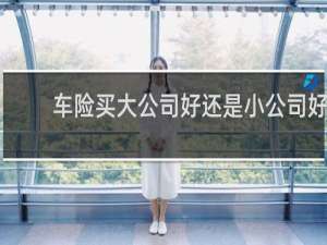 车险买大公司好还是小公司好