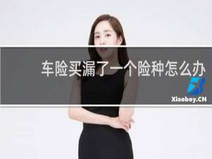 车险买漏了一个险种怎么办