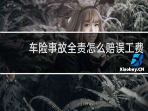 车险事故全责怎么赔误工费
