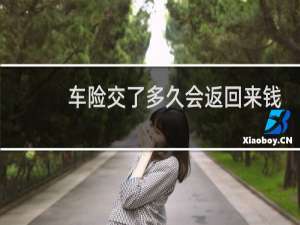 车险交了多久会返回来钱