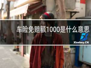车险免赔额1000是什么意思