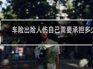 车险出险人伤自己需要承担多少