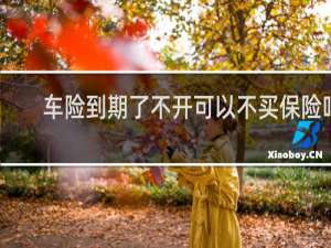 车险到期了不开可以不买保险吗