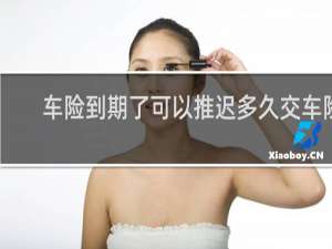 车险到期了可以推迟多久交车险