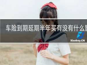 车险到期延期半年买有没有什么影响