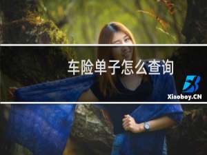 车险单子怎么查询