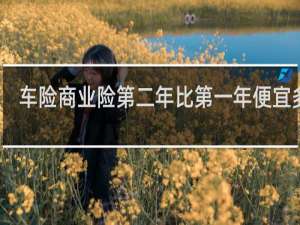 车险商业险第二年比第一年便宜多少