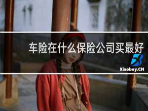 车险在什么保险公司买最好