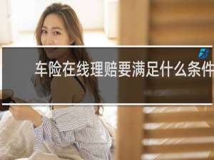 车险在线理赔要满足什么条件