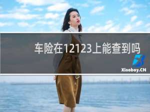 车险在12123上能查到吗