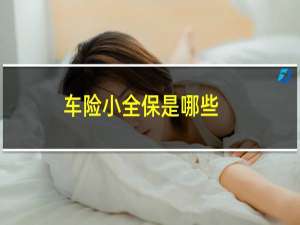 车险小全保是哪些