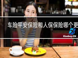 车险平安保险和人保保险哪个更好