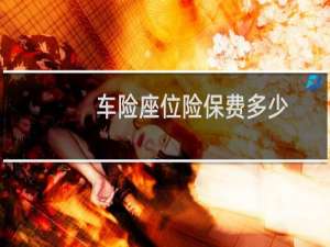 车险座位险保费多少